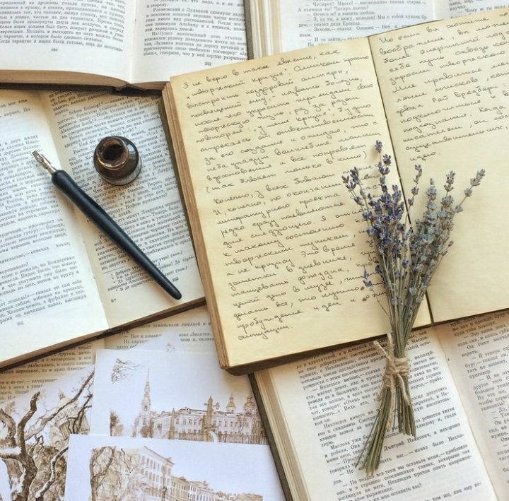 книги в форме дневниковых записей