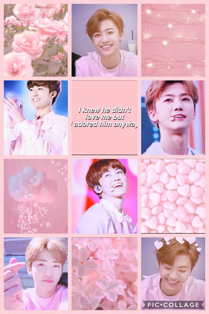 Lovely Pink Jaemin Aesthetic💕🌸 | K-Pop Amino