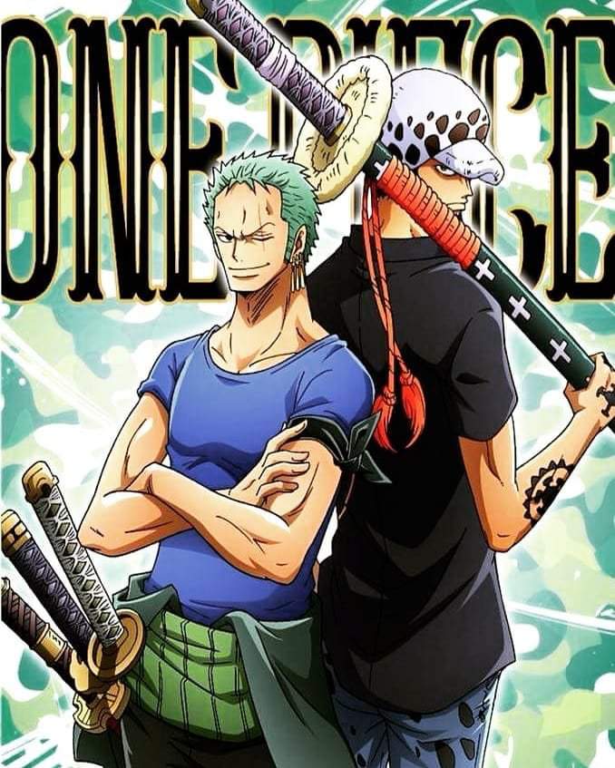 Did Anyone See A Friendship With Zoro And Law? | One Piece Amino