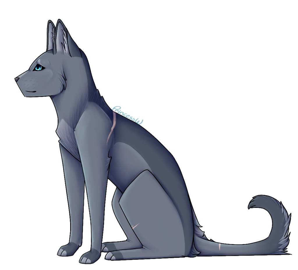 bluestar ia512dlu