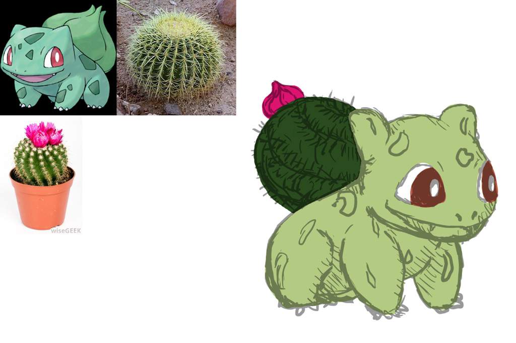cactus pokemon cactus pokemon