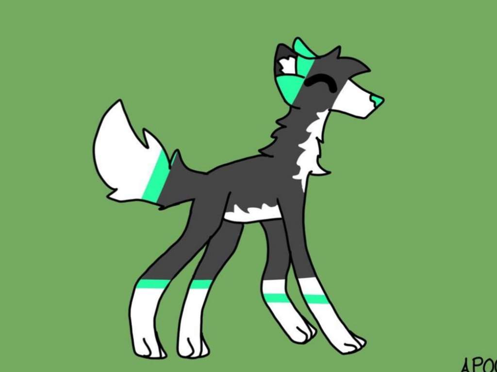 renaru | sona | Wiki | Wolf Amino Amino