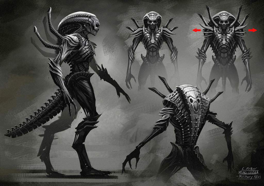 Xenomorph sentinel | Wiki | Alien Versus Predator Universe Amino