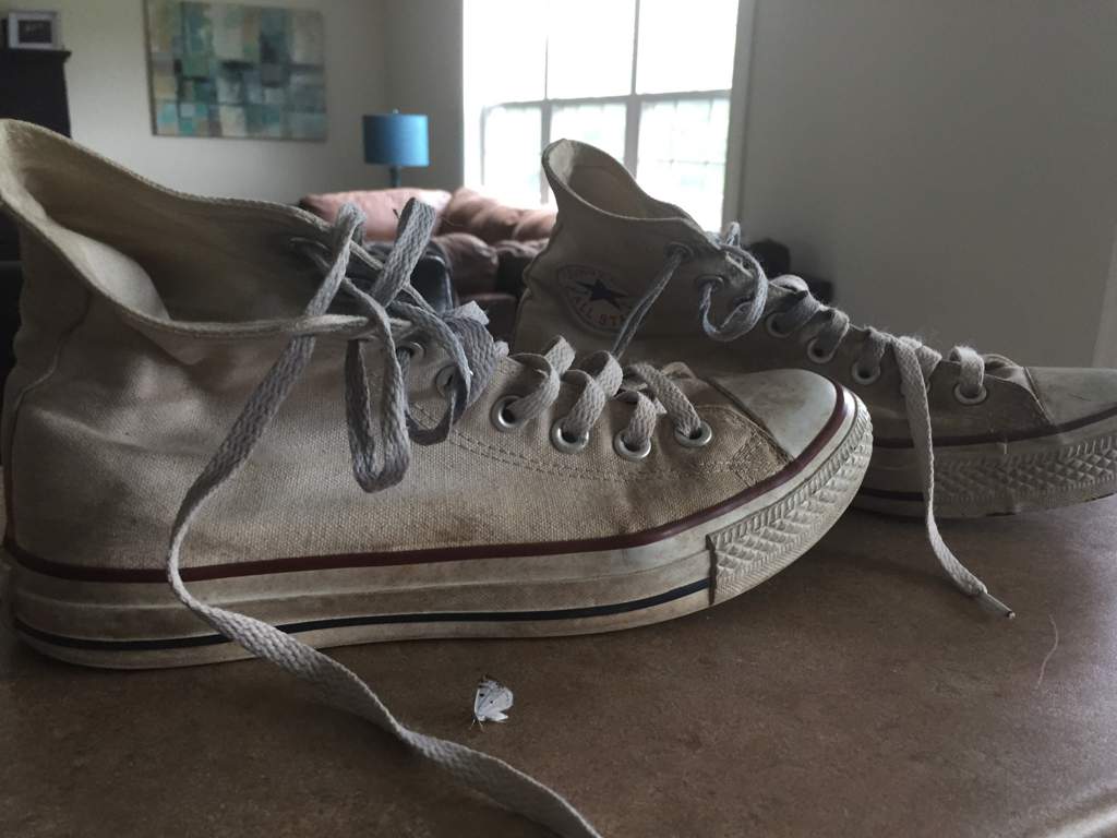 converse riverdale converse riverdale