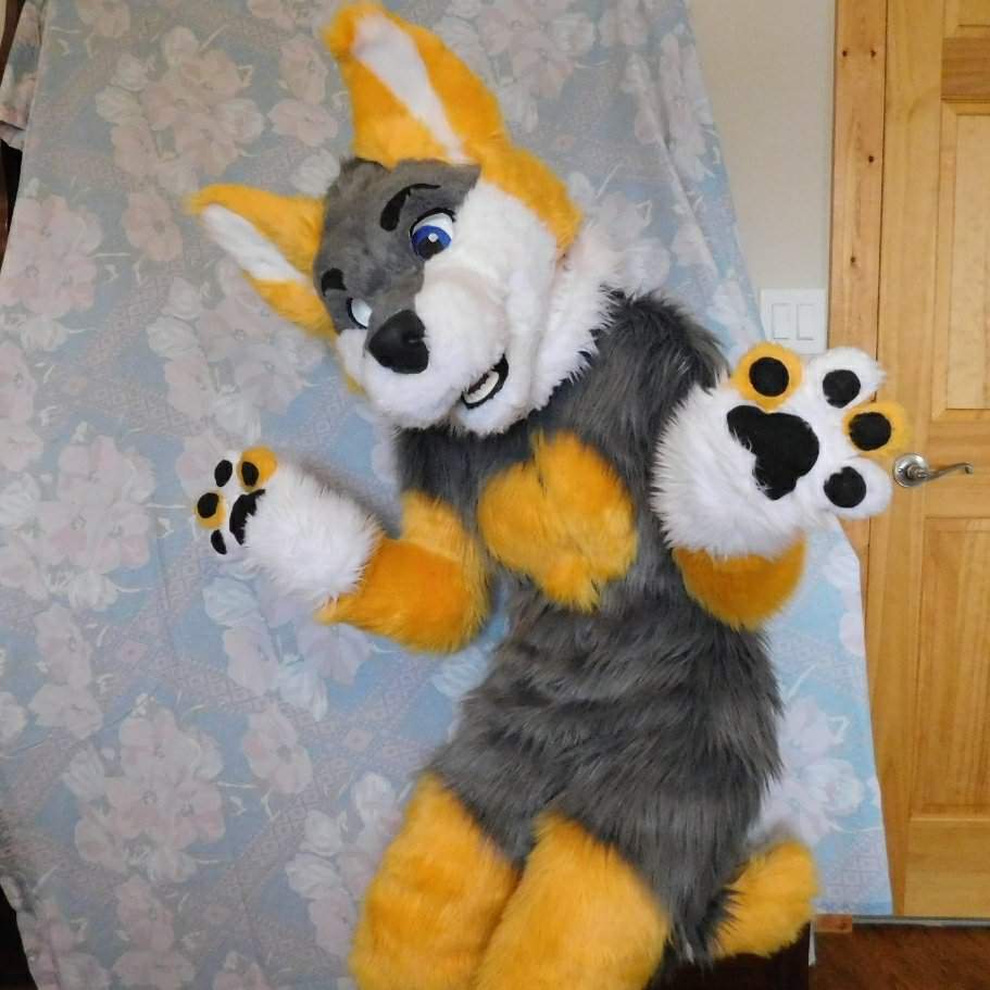 Walk in the Bark | Wiki | Fursuit Maker Amino Amino