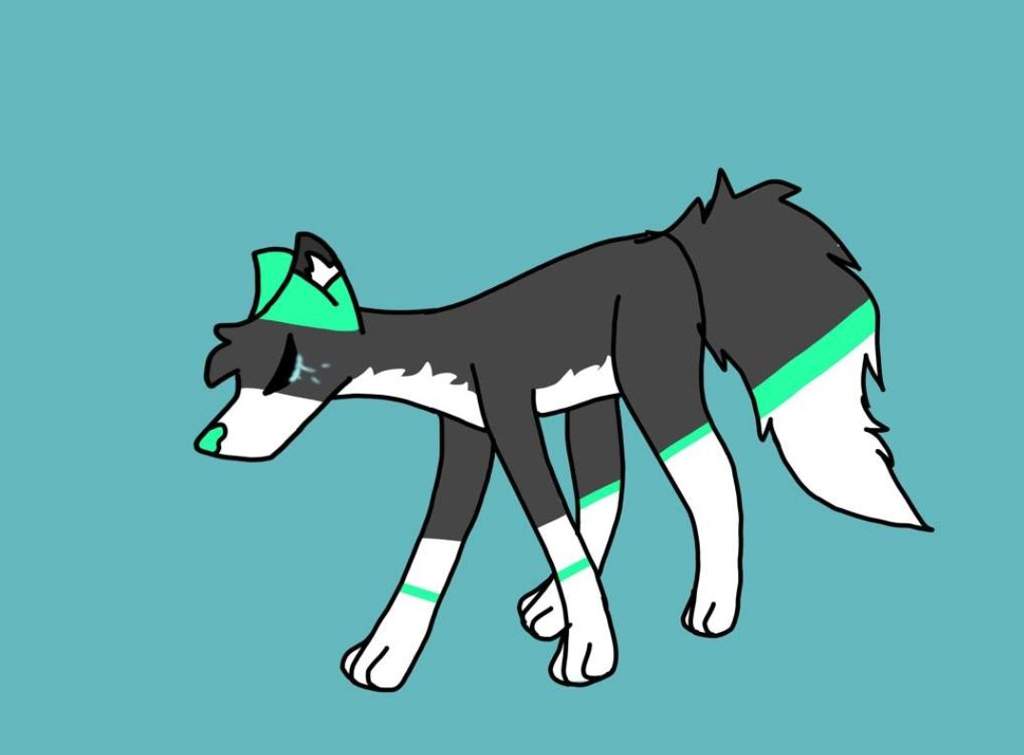 renaru | sona | Wiki | Wolf Amino Amino