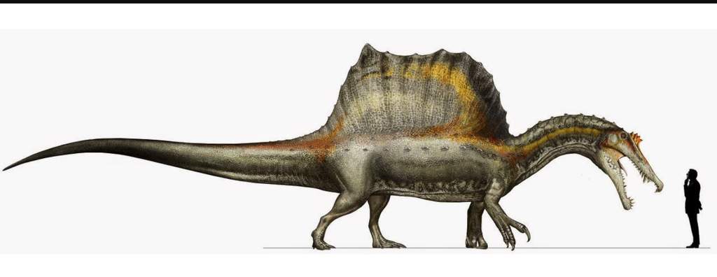 spinosaurus look alike