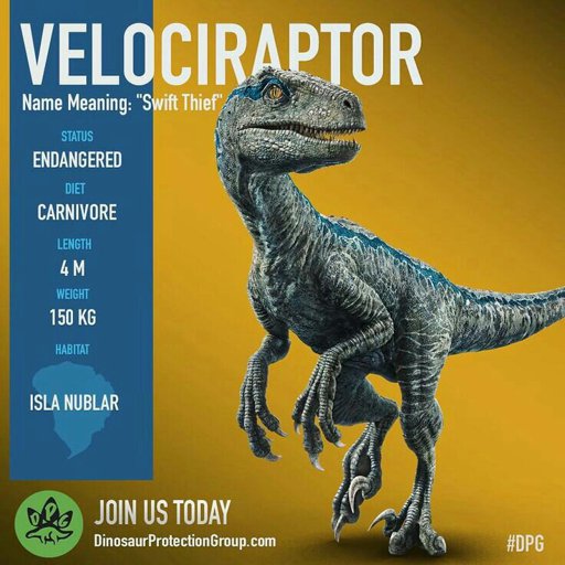 Velociraptor | Wiki | Dinosaur Protection Group(DPG) Amino