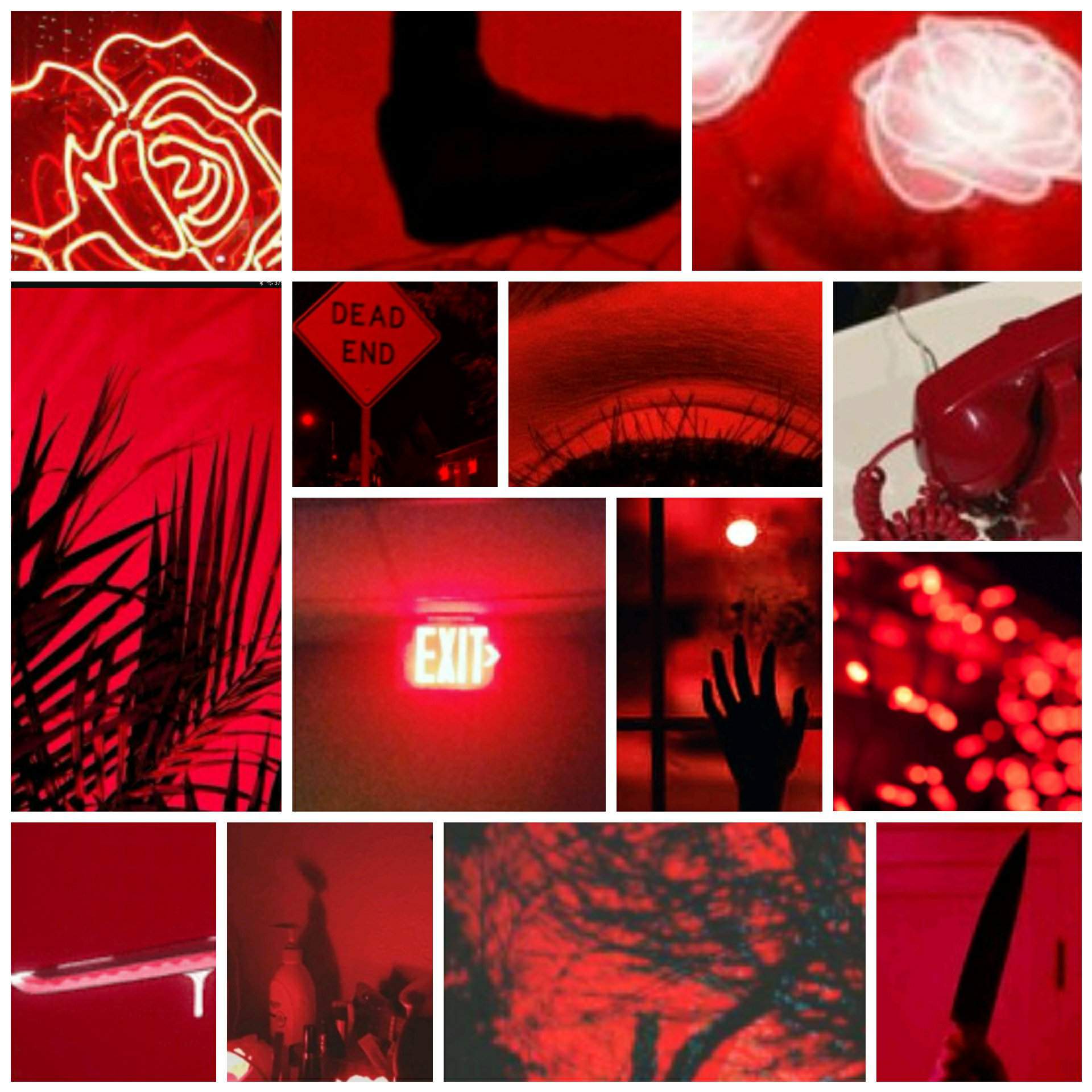 color themed aesthetics | Aesthetic Universe Amino