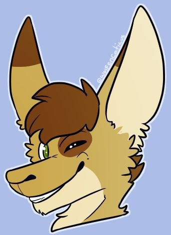 Joey | Wiki | Furry Amino