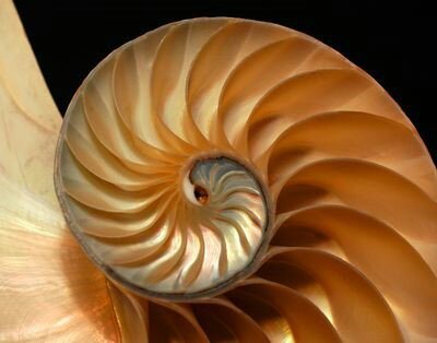 The Sacred Spiral - one of the oldest symbols known to men | World of ...