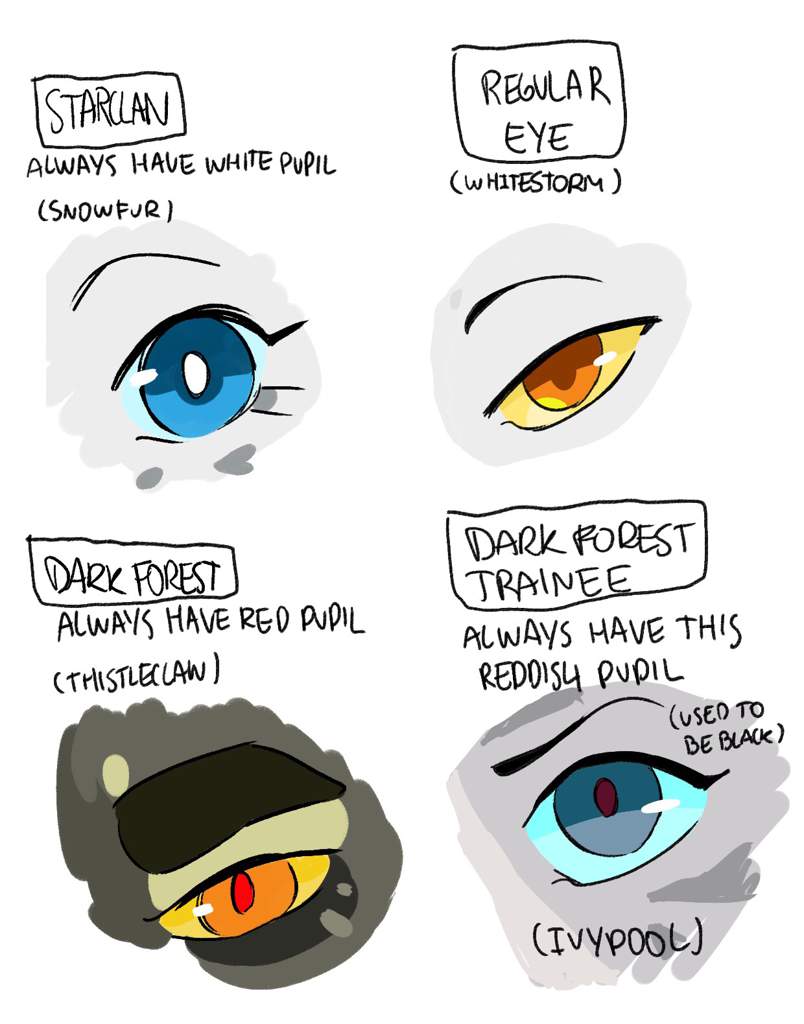 Eyes headcanon | Warriors Amino