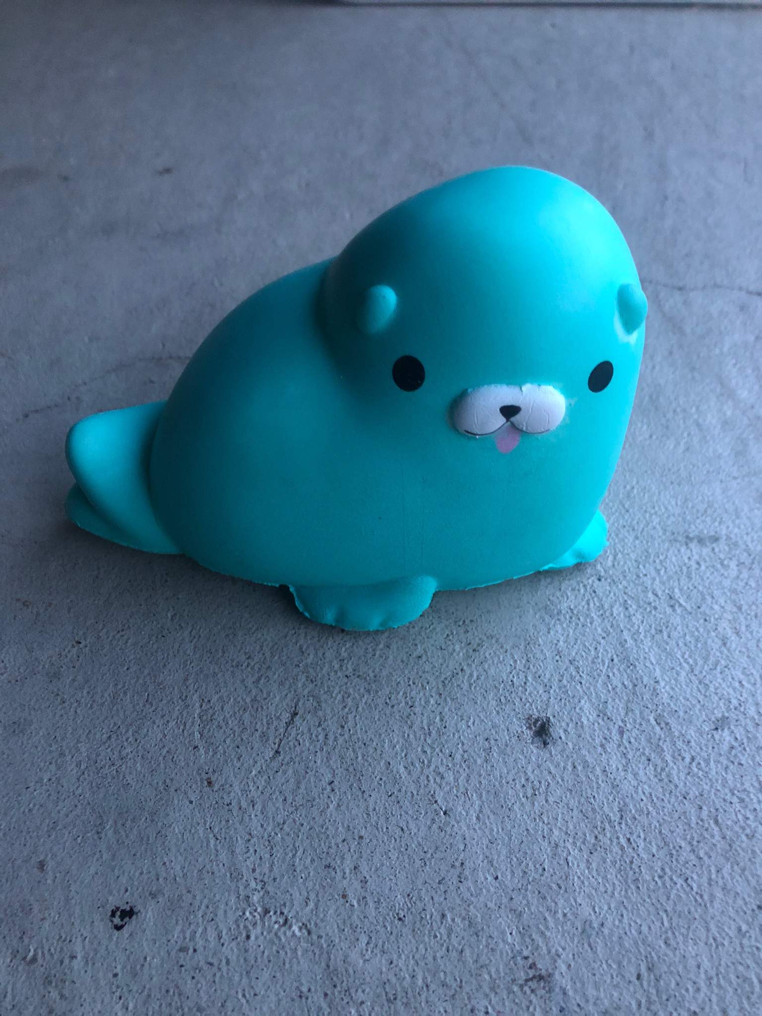 Teal seal | Squishy Love Amino