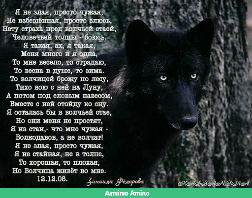 Стих быть зверем. Стихи про Волков. Стих про волка. Одинокий волк стихи. Стихи про волчицу одиночку.
