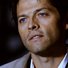 amino-The Wayward Winchester-684e591e