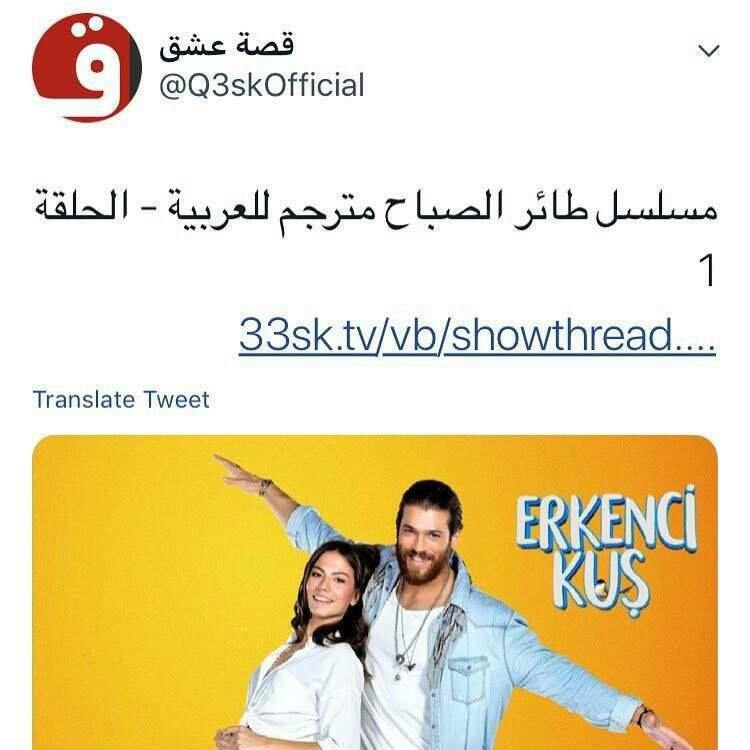الطائر المبكر الدراما التركية Amino
