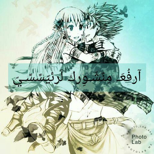 نقابة ذيل الجنية Fairy Tail A R A B I C Amino