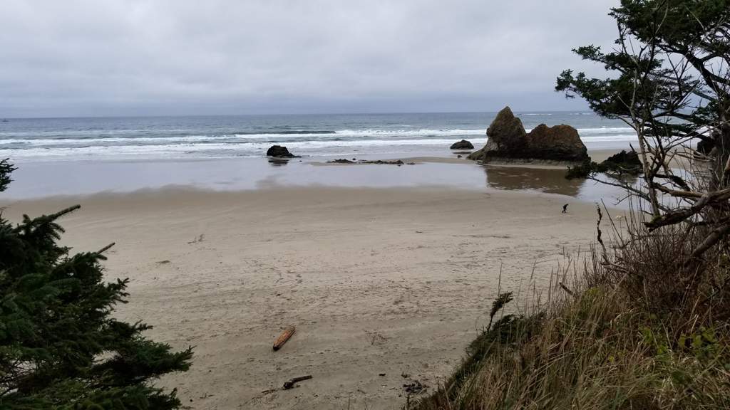 The Real Arcadia Bay Oregon Coast Life Is Strange Amino