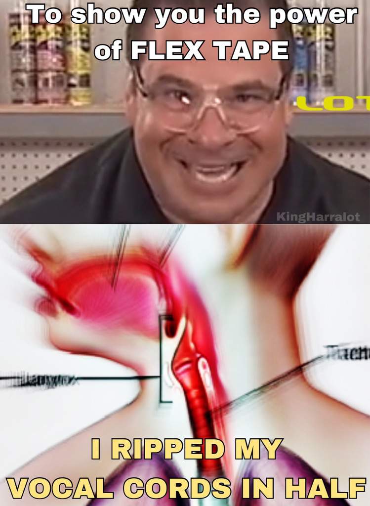 The POWER of F L E X TAPE | Dank Memes Amino