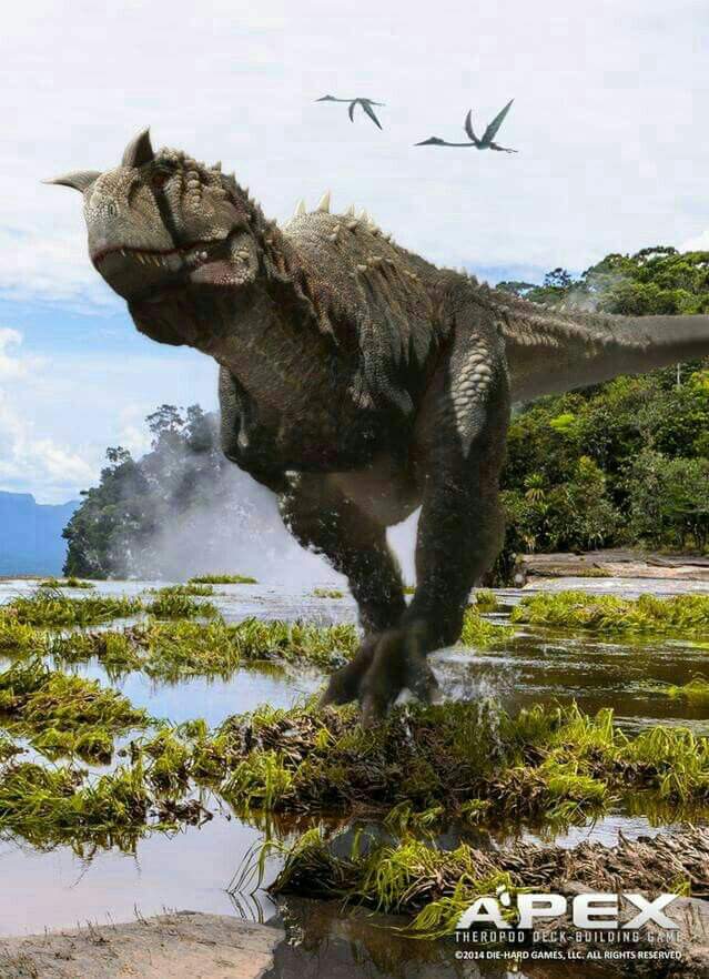 Carnotauro Wiki ⚪jurassic Park Amino⚪ Amino 