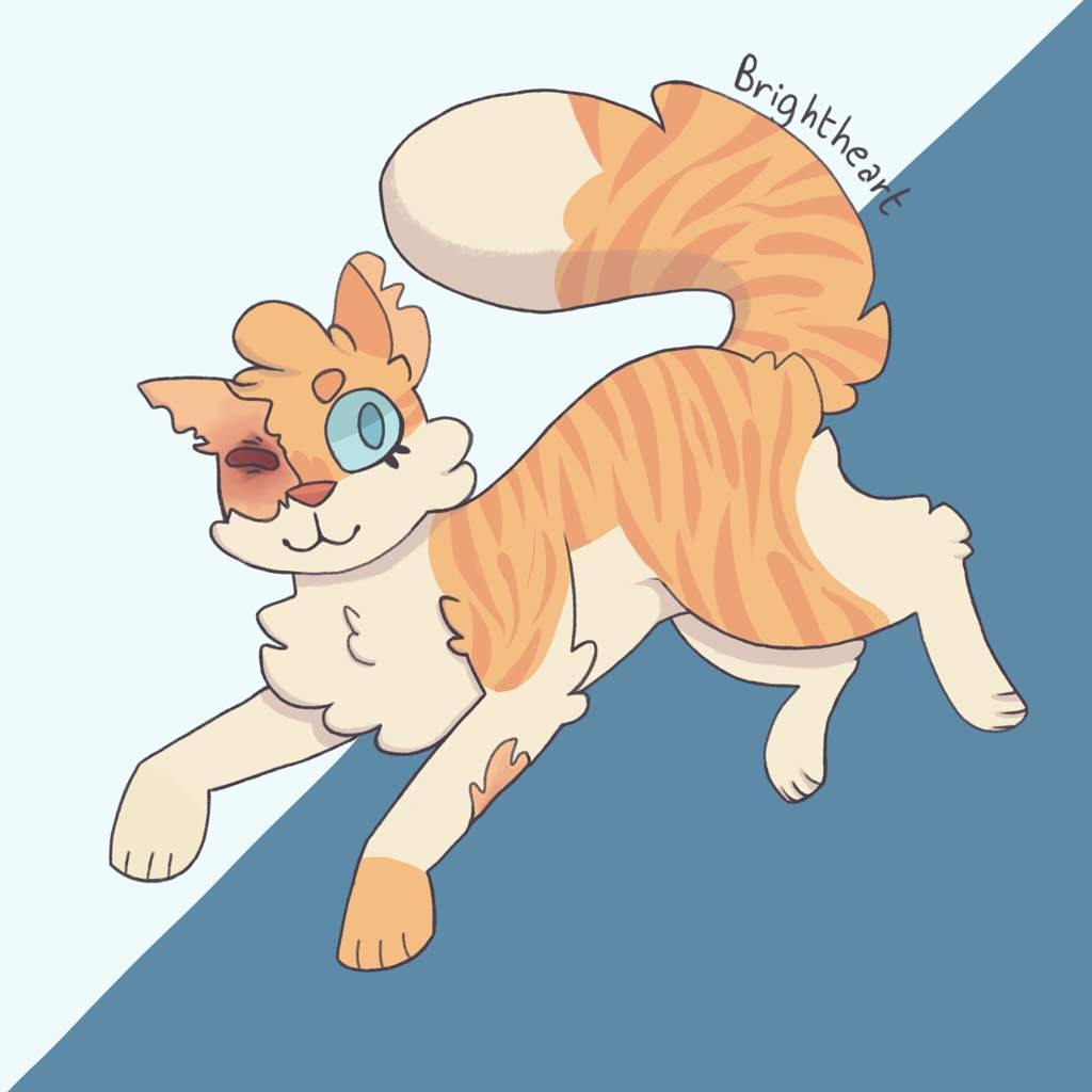 brightheart warriors plush