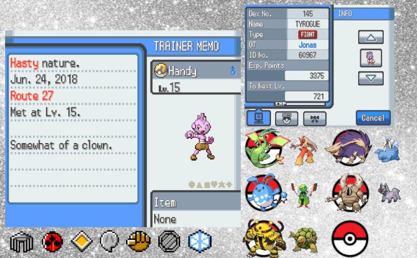 pokemon soulsilver randomizer rom