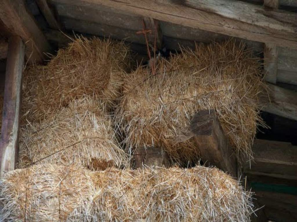 Приколы с картинками найти кота