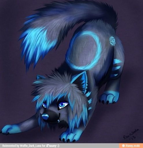 The Blue Streak Wolf Pupper 