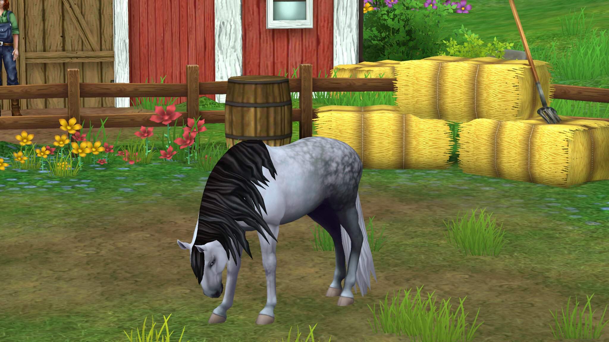 Lusitano Lives | Wiki | Star Stable Online Amino