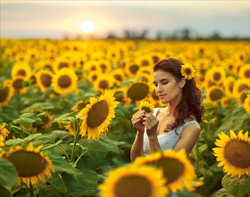 Фотосессия в подсолнухах