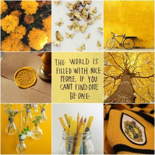 Yellow Moodboard | aesthetics Amino