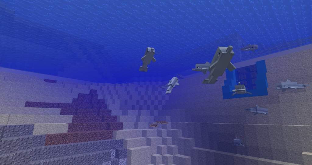 Deep Sea Dolphin Aquarium Minecraft Amino