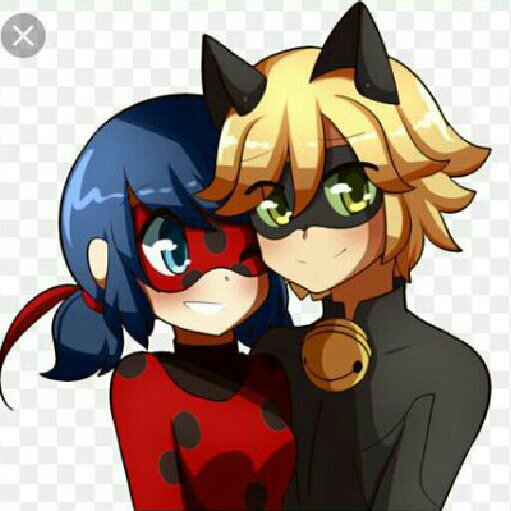 Enfim Juntos 5 Comic Miraculous Ladybug Amino