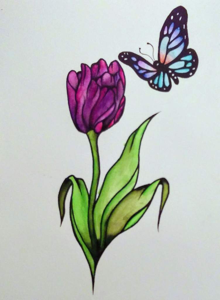 Butterfly tulip | Art Amino