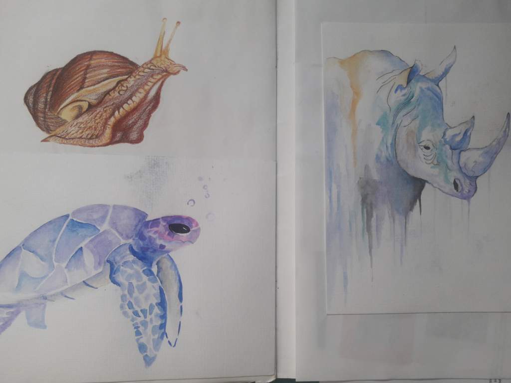 Pages In My Old Gcse Artbook Art Amino