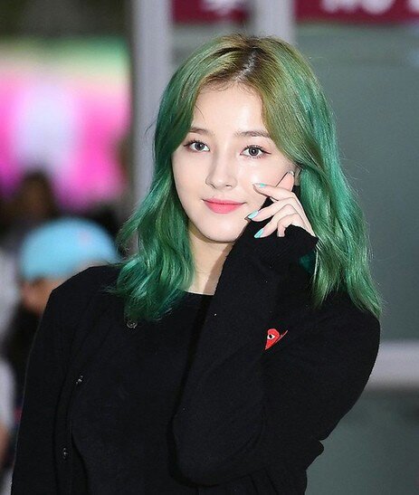 Nancy S Green Hair Momoland Amino