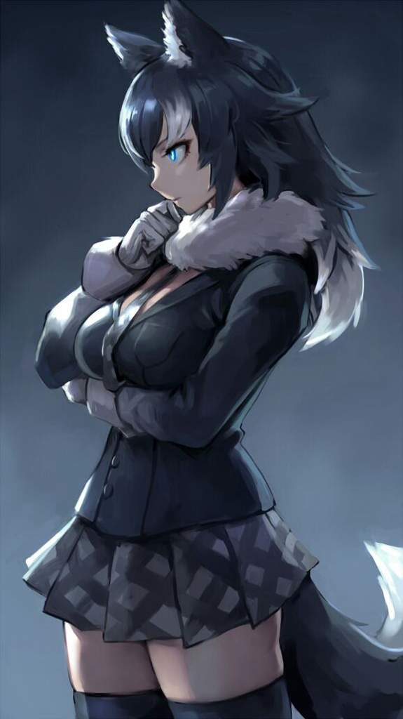 Wolf chan обои