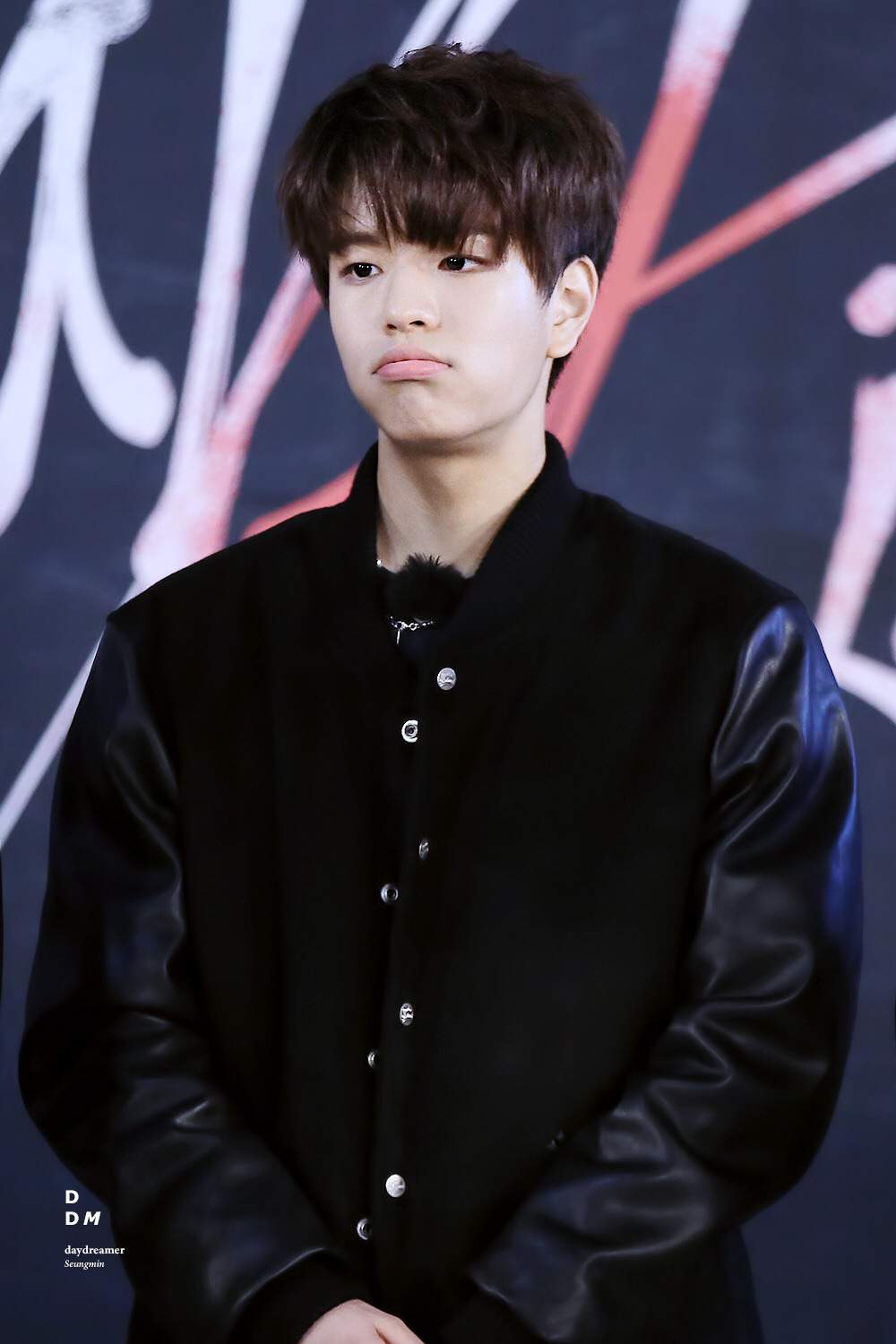 Seungmin (bias) | Wiki | Stray Kids Amino