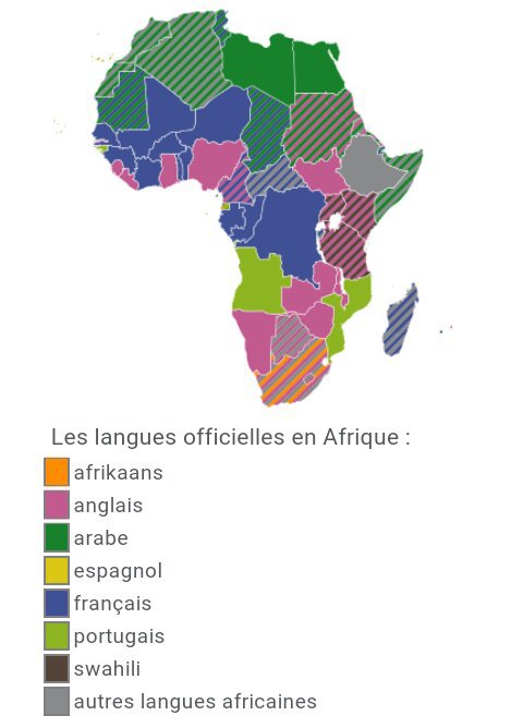 Langues Parlées En Afrique Du Sud Les différentes langues utilisées en Afrique | 🗺Culture Du Monde🗺 Amino