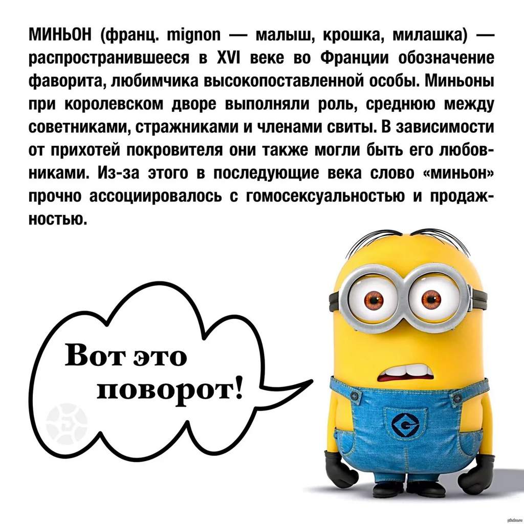 Мемы с миньонами) | Мемы Amino Amino