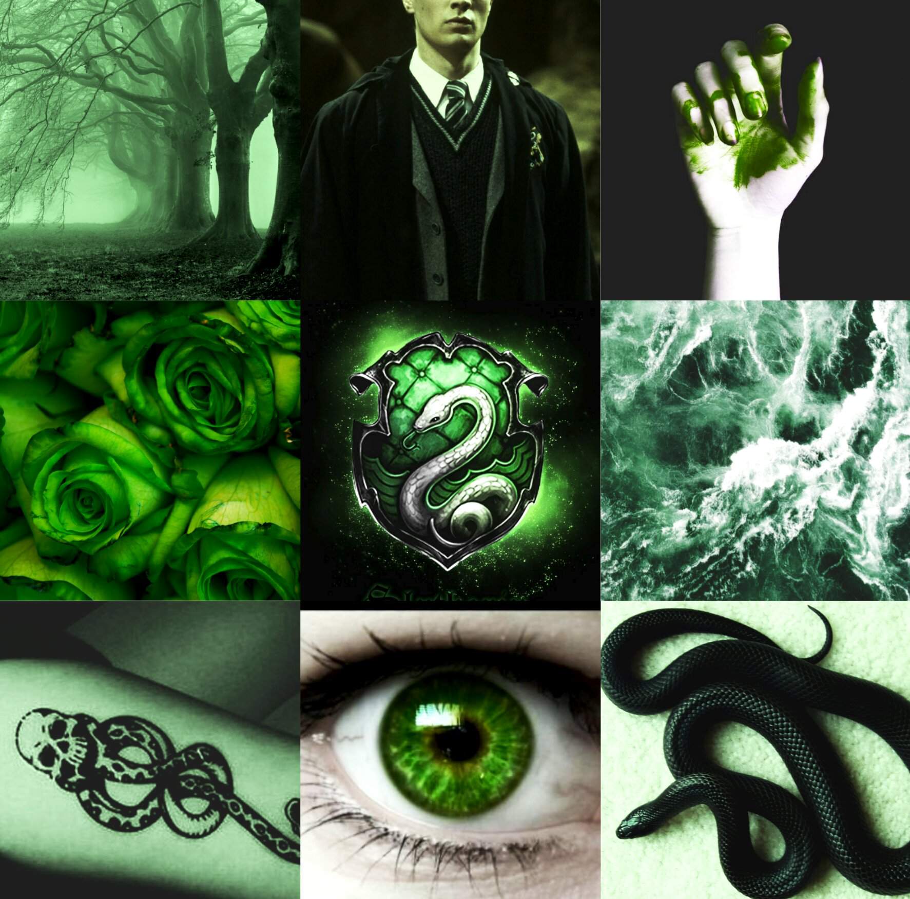 SLYTHERIN