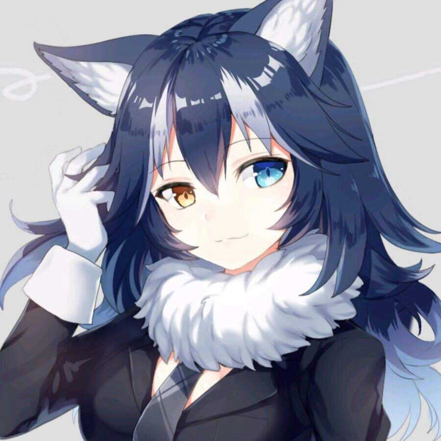 Wolf chan обои