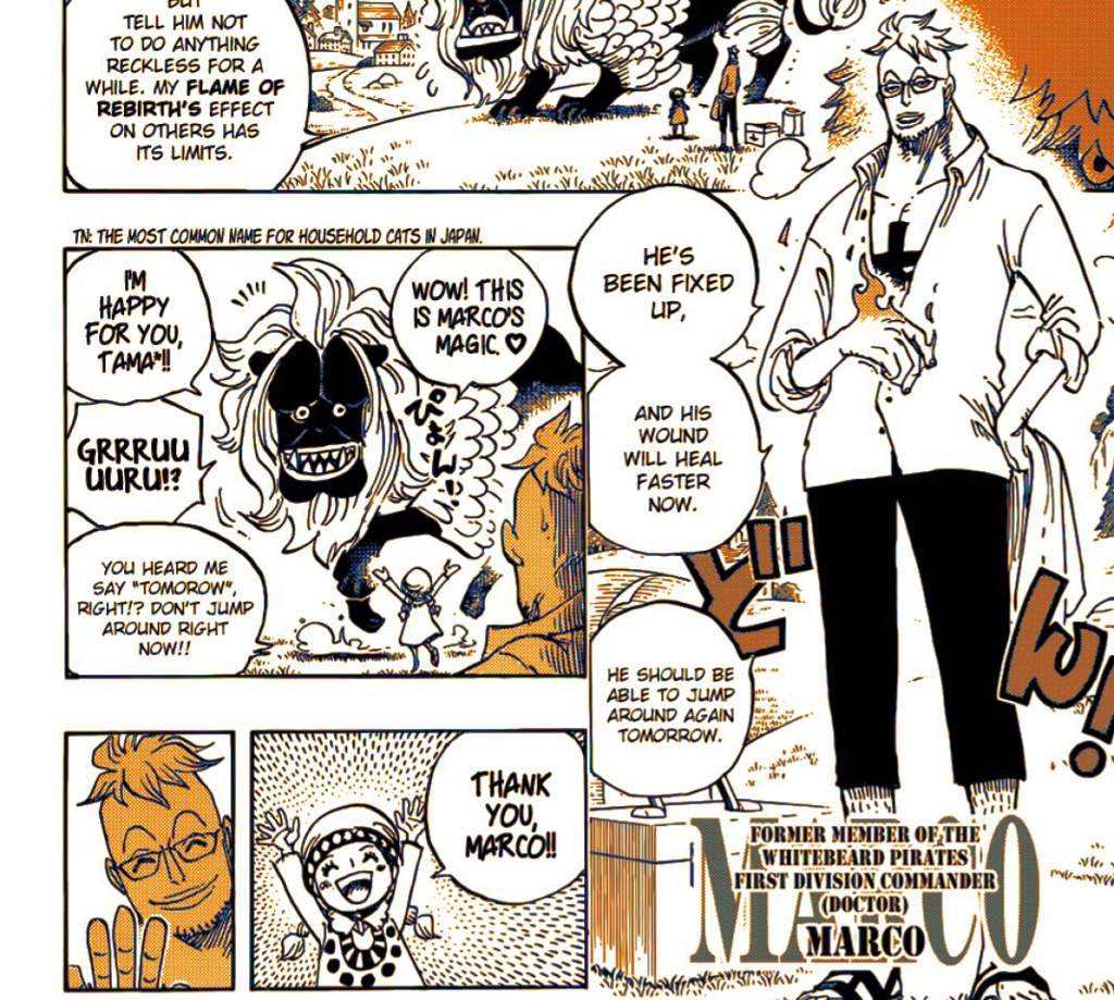 One Piece Chapter 909 Viz Comparison One Piece Amino