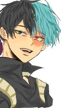 Evil Todoroki | Wiki | My Hero Academia Amino