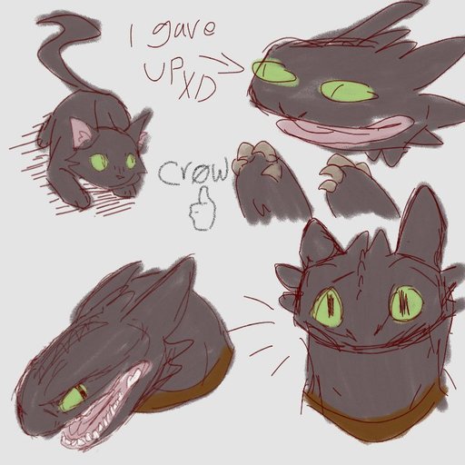 Toothless's babies H.T.T.Y.D Amino
