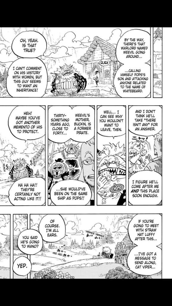 One Piece Chapter 909 Viz Translation One Piece Amino