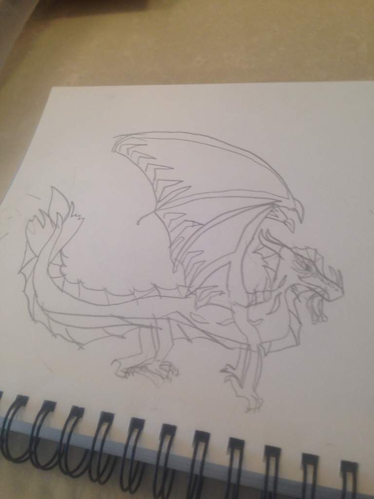 Rainwing Love Wings Of Fire Amino