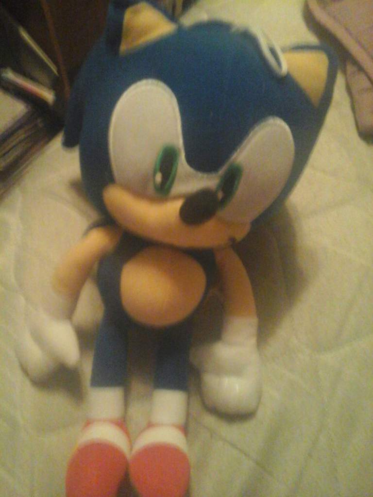 dave and busters sonic plush