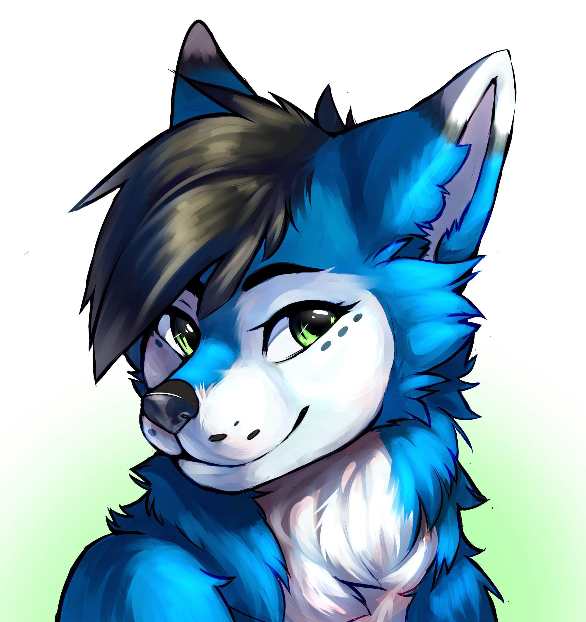 Hello Everyone~ | Furry Amino