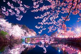 بعض الصور توضح جمال فصل الربيع في اليابان سبحان الله ( 2 ) | Nihon ...